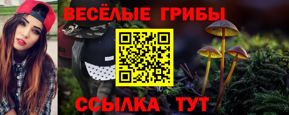 Галлюциногенные грибы Psilocybe  продажа наркотиков  Усолье-Сибирское  Вход с VPN  Галлюциногенные грибы Psilocybe 
